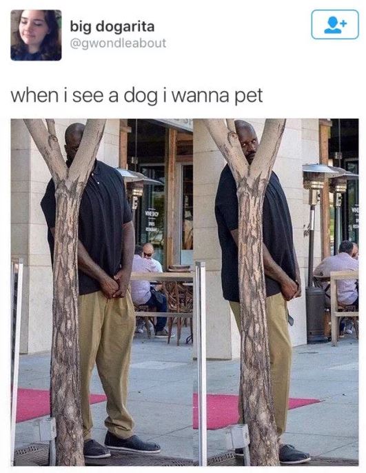 Wanna Pet