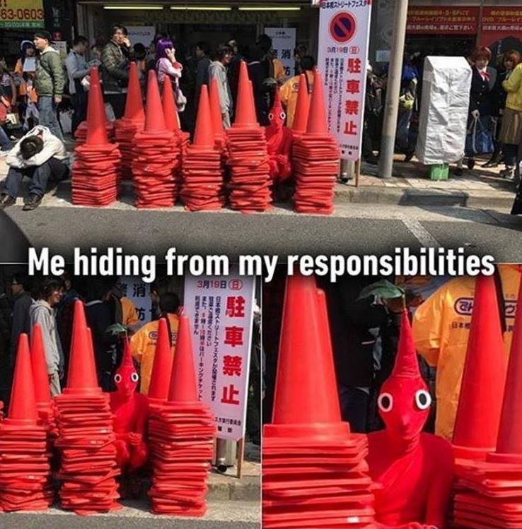 Hiding From Responsibilities