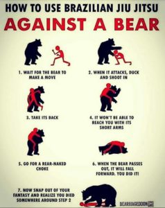 How to Use Brazilian Jiu Jitsu Against a Bear