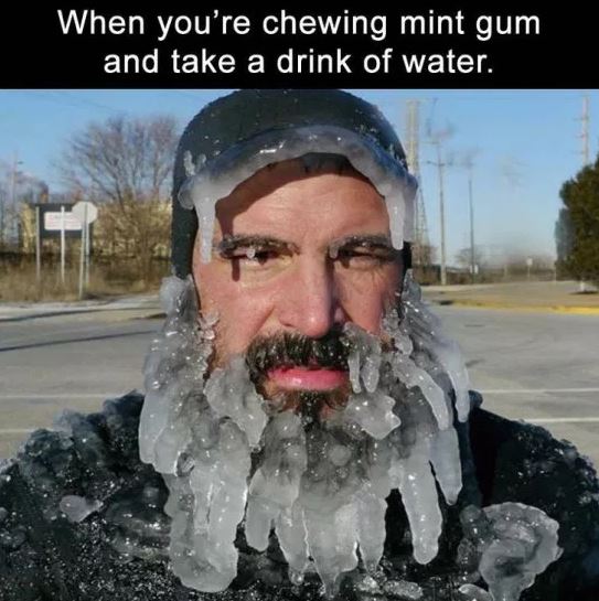 Mint Gum