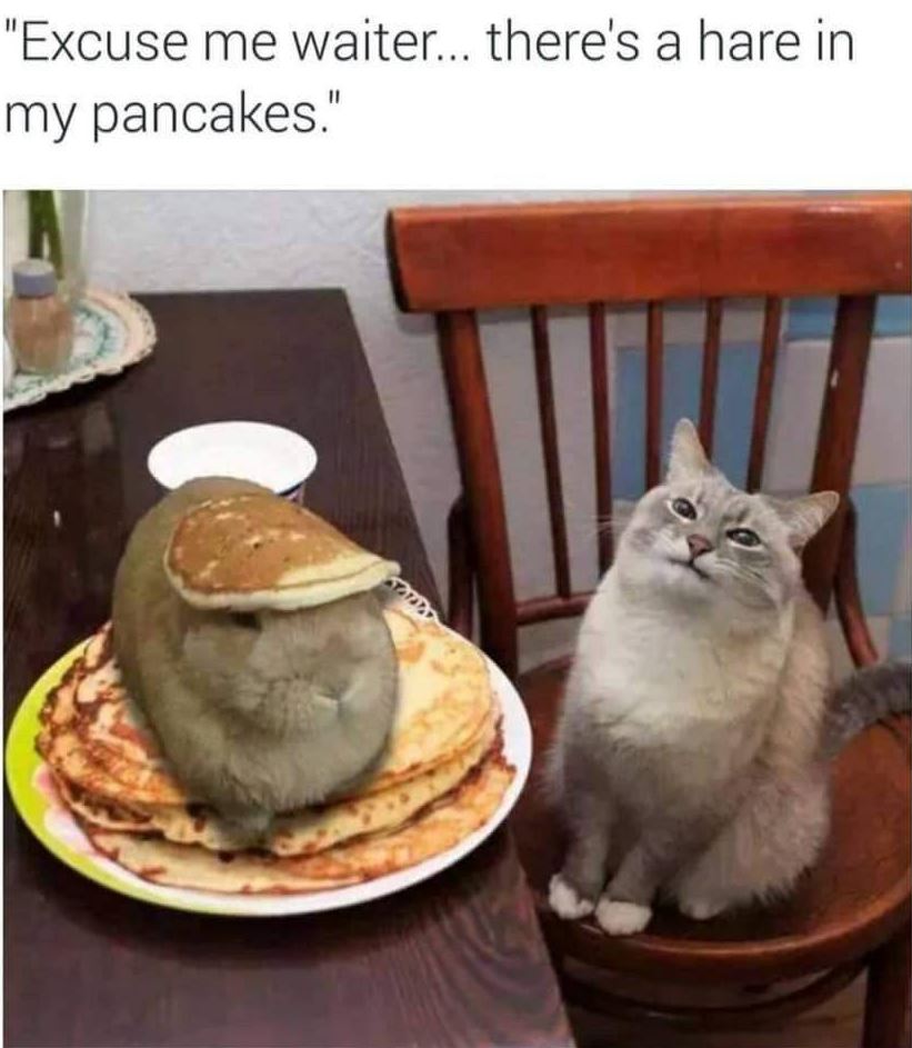 Pancake Problem