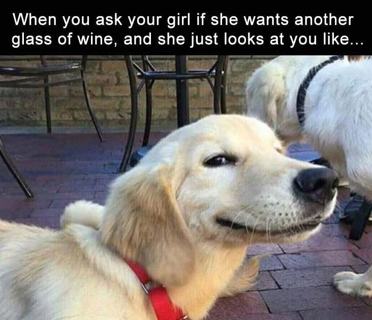 Funny Memes of The Day | 28 Pics