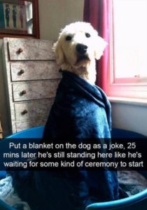 Funny Animals of The Day - 24 Pics