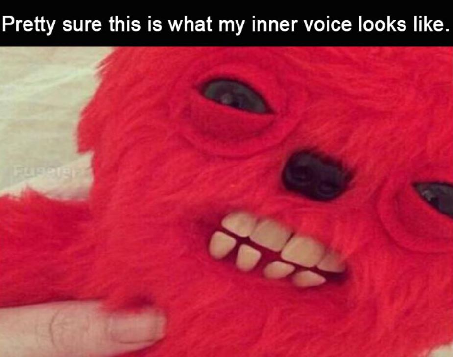 43 Extremely Hilarious Memes Of The Month